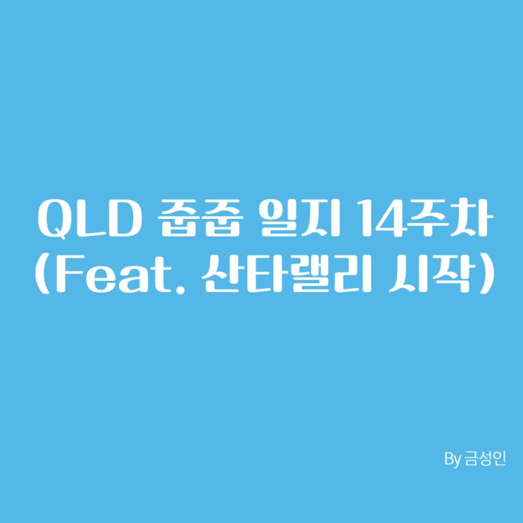  QLD 줍줍 일지 14주차(feat. 산타랠리 시작)