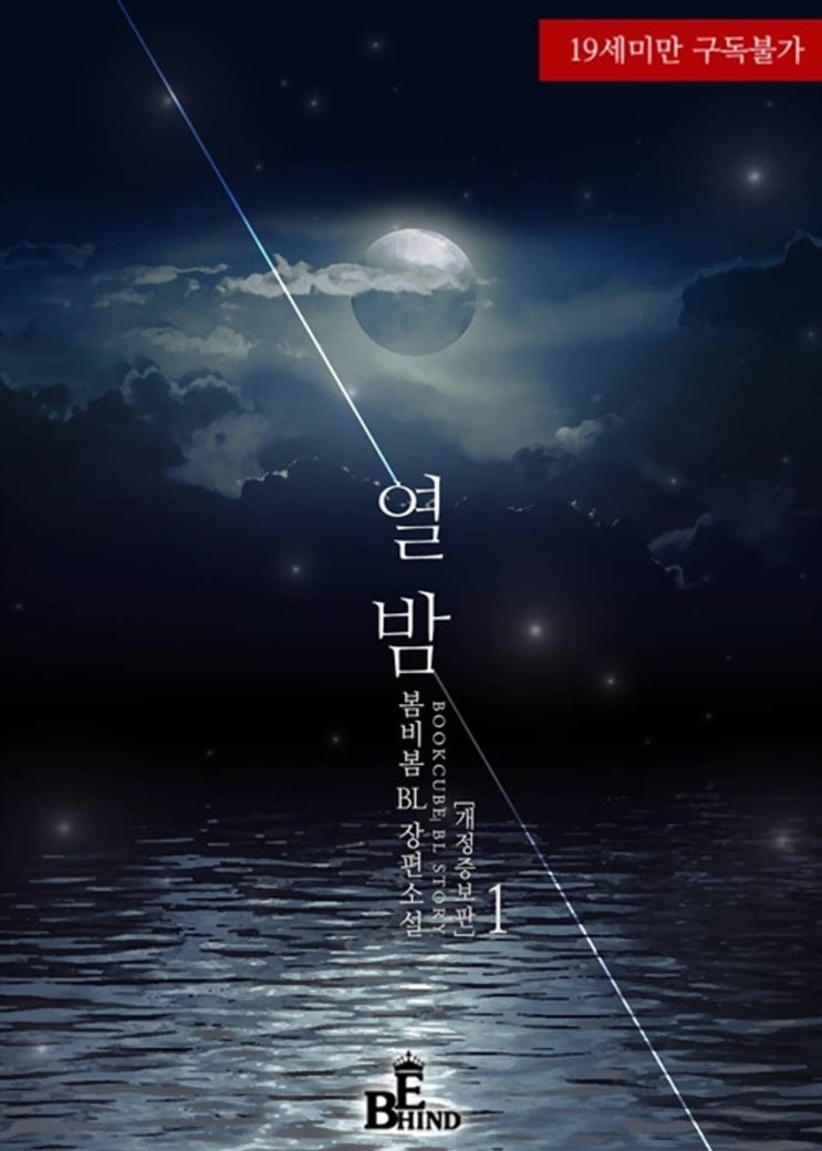 BL소설 리뷰) 봄비봄-열 밤 BL소설 리뷰) 봄비봄-열 밤