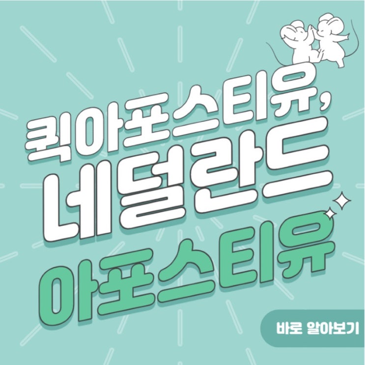  렘브란트, 반 고흐의 나라! 네덜란드 아포스티유 받기