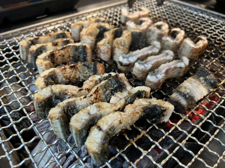 오통통한 청담동 풍천장어