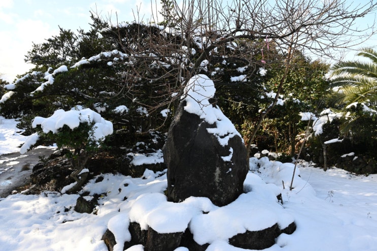  제주 조용하고  한적한 서귀포 법련사.