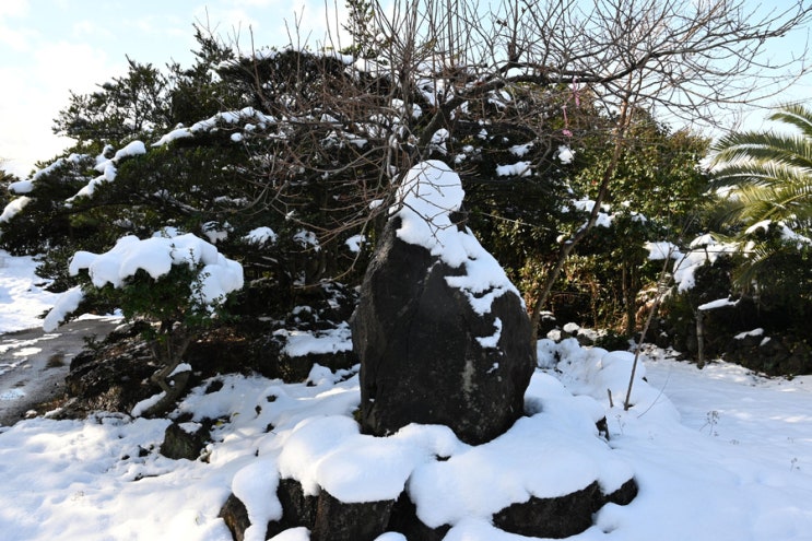 제주 조용하고  한적한 서귀포 법련사.