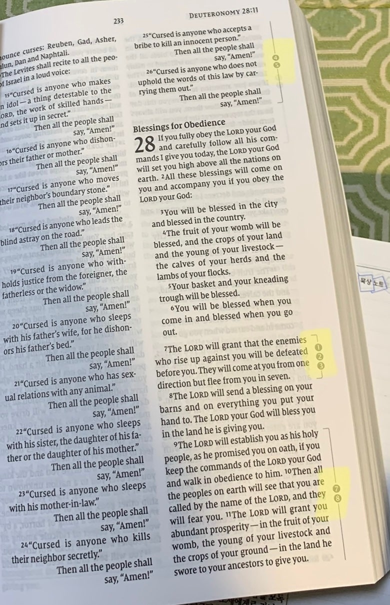 팔복으로 구성된 리커버리 성경 NIV Celebrate Recovery Study Bible 네이버