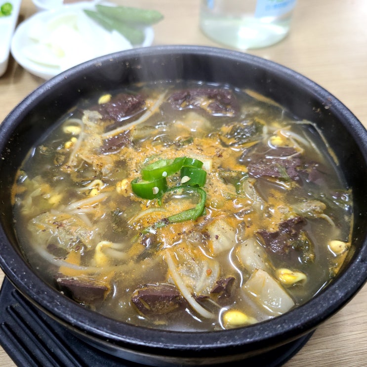  제주 세화 맛집, 제주 동서네해장국 세화점 선지해장국 후기