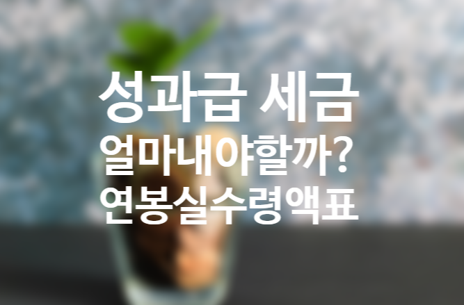 성과급 세금 (세전 세후 계산), 총원천징수금액과 2021 연봉 실수령액표, 연말정산 과세표준에 따른 소득세구간 소득세율, 소득세 뜻