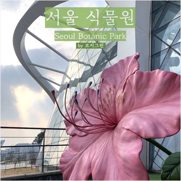 서울 식물원 온실 방문 후기 - 겨울에 방문하면 더 좋은 이유 !