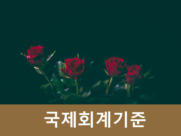  국제회계기준(IFRS) 정의와 개념 및 특징