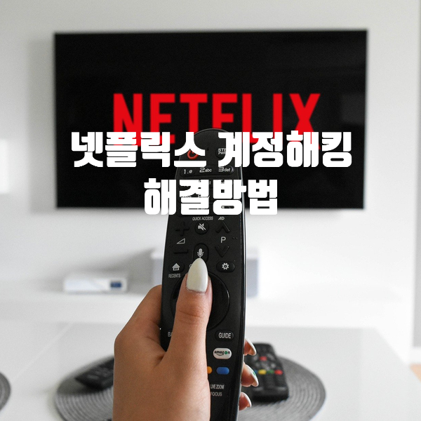  넷플릭스 계정 해킹 및 카드 결제 그리고 해결 방법