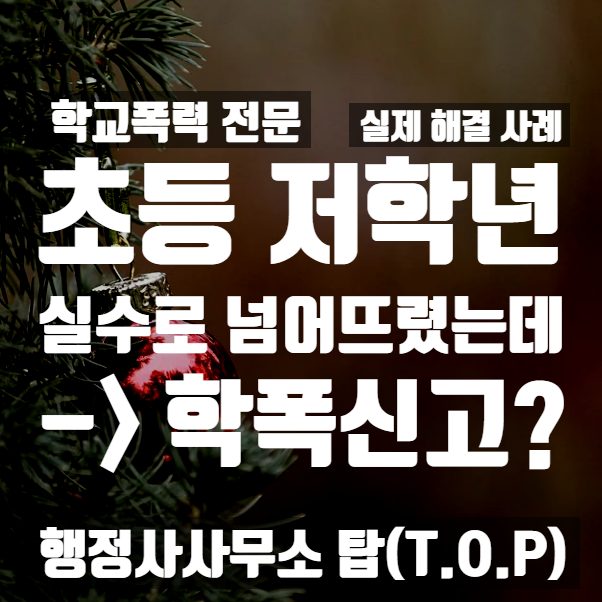  [학교폭력] 초등 저학년 장난으로(실수) 친구를 넘어져 다치게 해 학폭 신고 -> 서면 사과 조치 종결 사례 / 보호자확인서 전문 [행정사사무소 탑(T.O.P)]