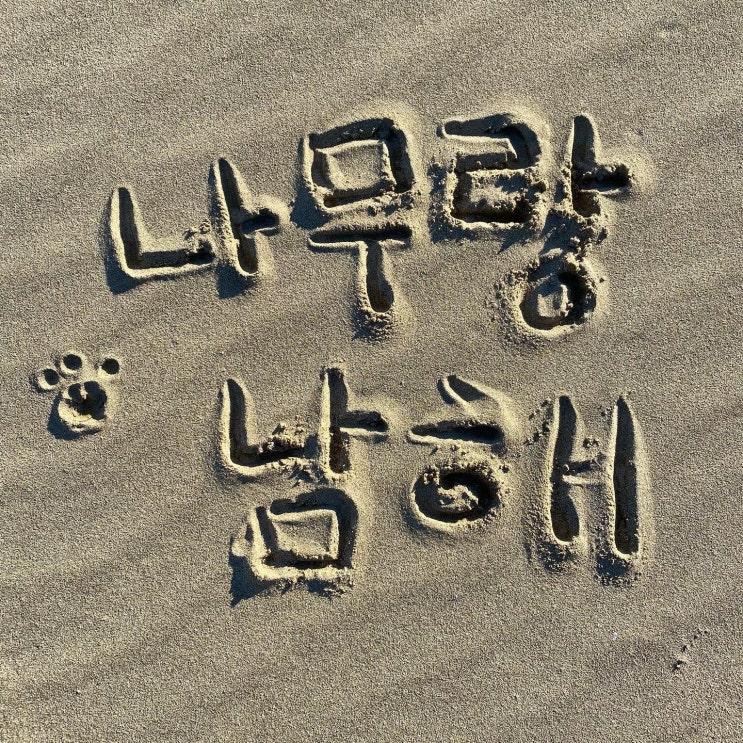  당일치기 남해 나들이 + 반려견 여행