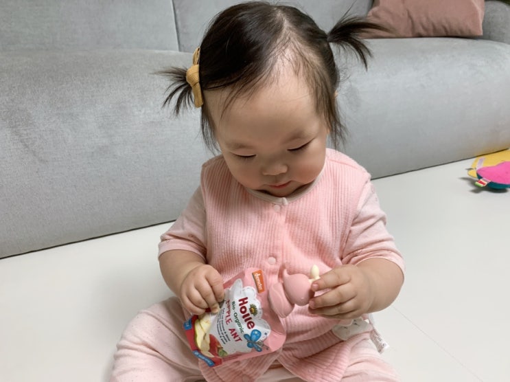  유기농 과일 채소로 만든 아기퓨레, 더블 유기농 홀레 후기