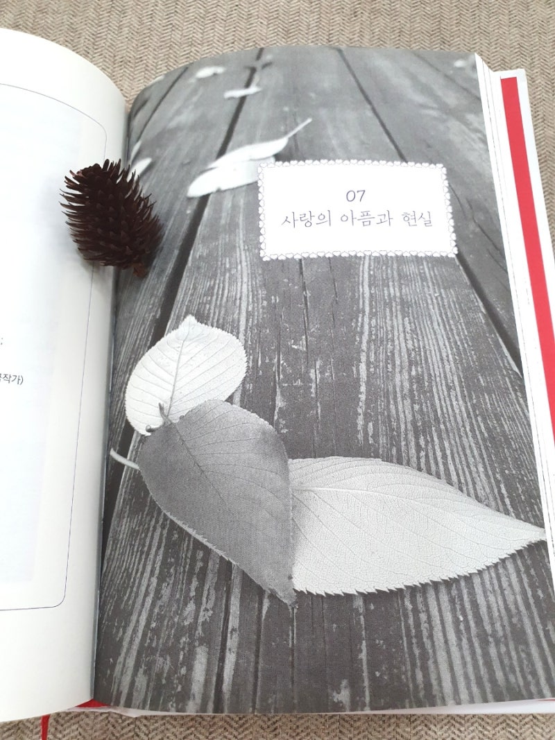 내 인생을 바꾼 사랑의 명언 도서 : 네이버 블로그, image size:800x1067