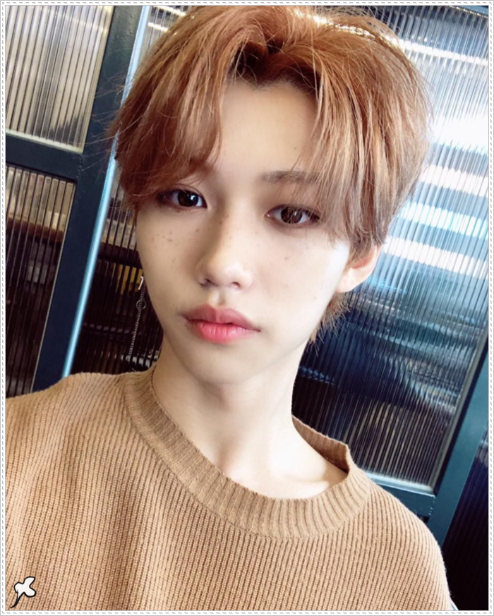 스트레이 키즈 필릭스 나이 키 MBTI 국적 남친짤 대박이네