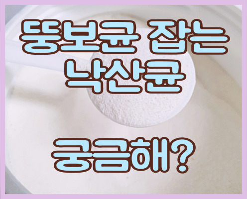  낙산균 포스트바이오틱스 효능 후기