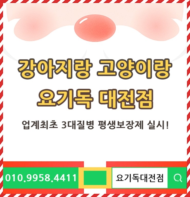  대전애완동물분양 이젠 건강보장이 되야죠