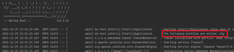 IntelliJ Community 로 spring boot active profile 설정하는 법 ( vm option ...
