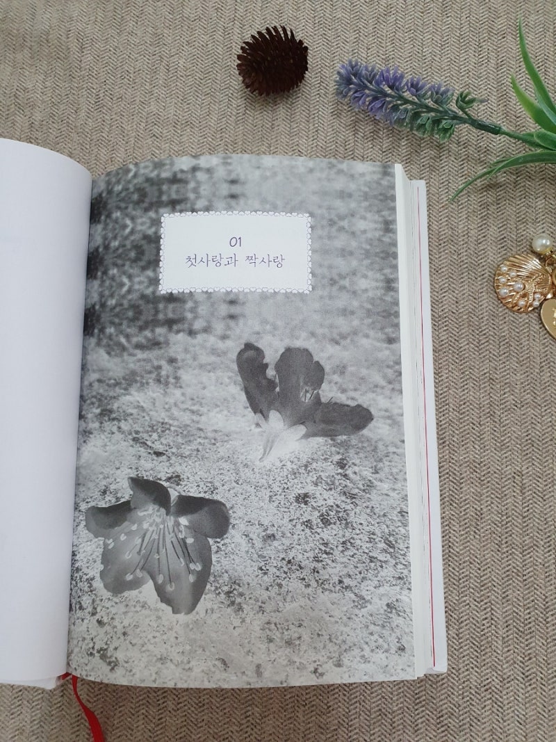 내 인생을 바꾼 사랑의 명언 도서 : 네이버 블로그, image size:800x1067