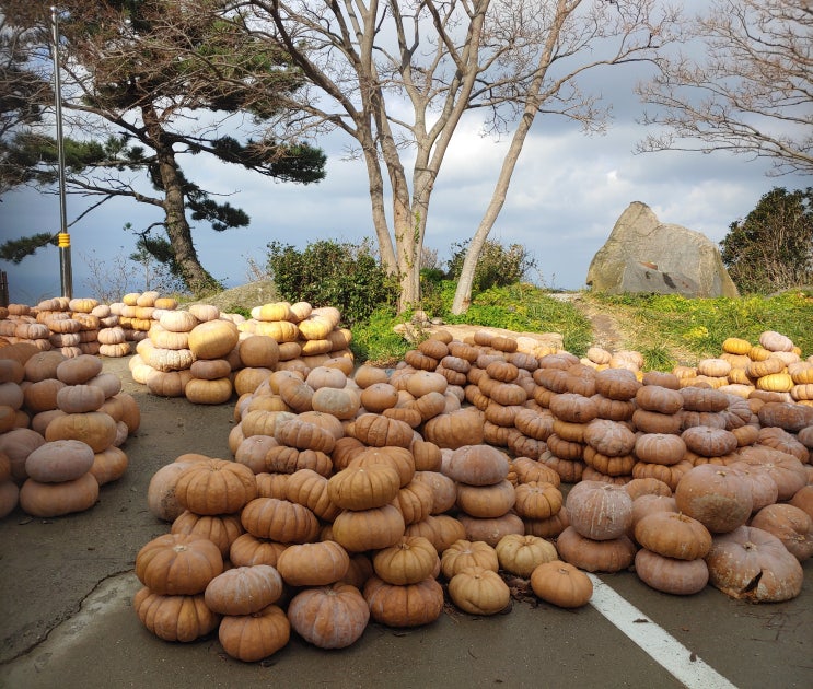 경상북도 울릉도여행 (울릉도 산채영농조합 : 울릉도의 대표적인 호박엿공장 /  울릉천국 : 울릉도여행에서 방문하지 못했던 명소 / 나리분지 : 울릉도의 유일한 넓은평지)