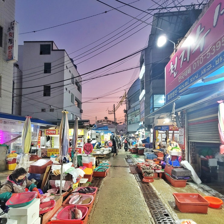  [통영] 3박 4일 겨울여행 1일차 (여행정보, 가계부, 이순신 공원, 통영 활어시장)