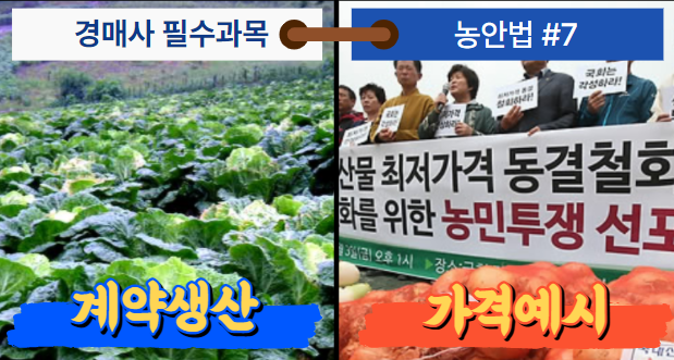  [경매사필수과목-농안법 #7] 농산물 수급안정을 위한 정책에는 "계약생산"과 "가격예시"가 있어요~
