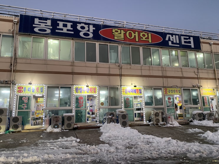  봉포항 회센터) 강원도 고성 회센터 '봉포항회센터' 솔직후기 #내돈내산