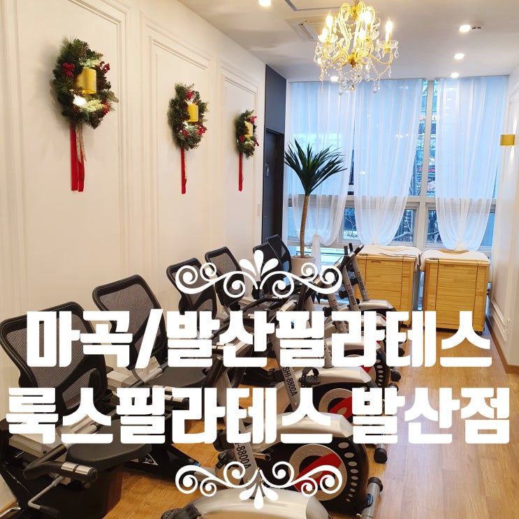  발산/마곡필라테스 룩스필라테스 발산점 체계적인 그룹수업! (100% 기구 필라테스)