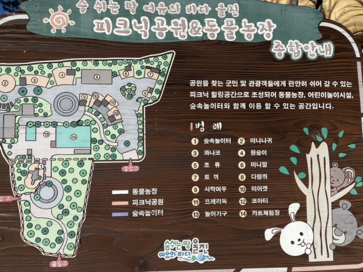  울진 가볼만한곳 #왕피천공원