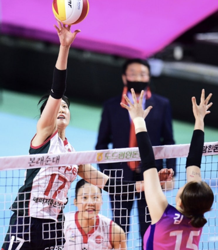 KOVO 프로배구 국내 남자배구 우리카드 삼성화재 여자배구 흥국생명 페퍼저축은행 KOVO 프로배구 국내 남자배구 우리카드 삼성화재 여자배구 흥국생명 페퍼저축은행