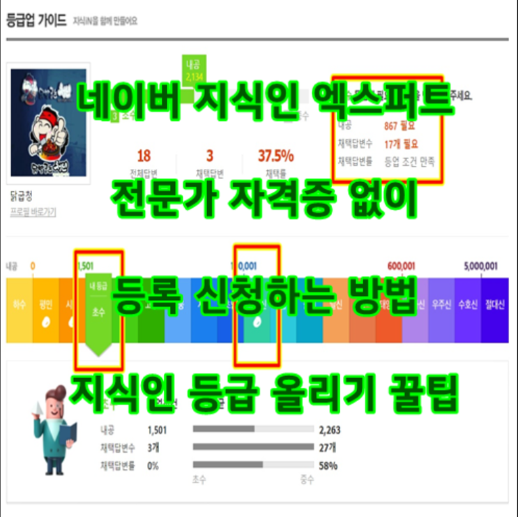  네이버 지식인 엑스퍼트 전문가 자격증 없이 등록 신청하는 방법(ft. 지식인 등급 올리기 꿀팁)