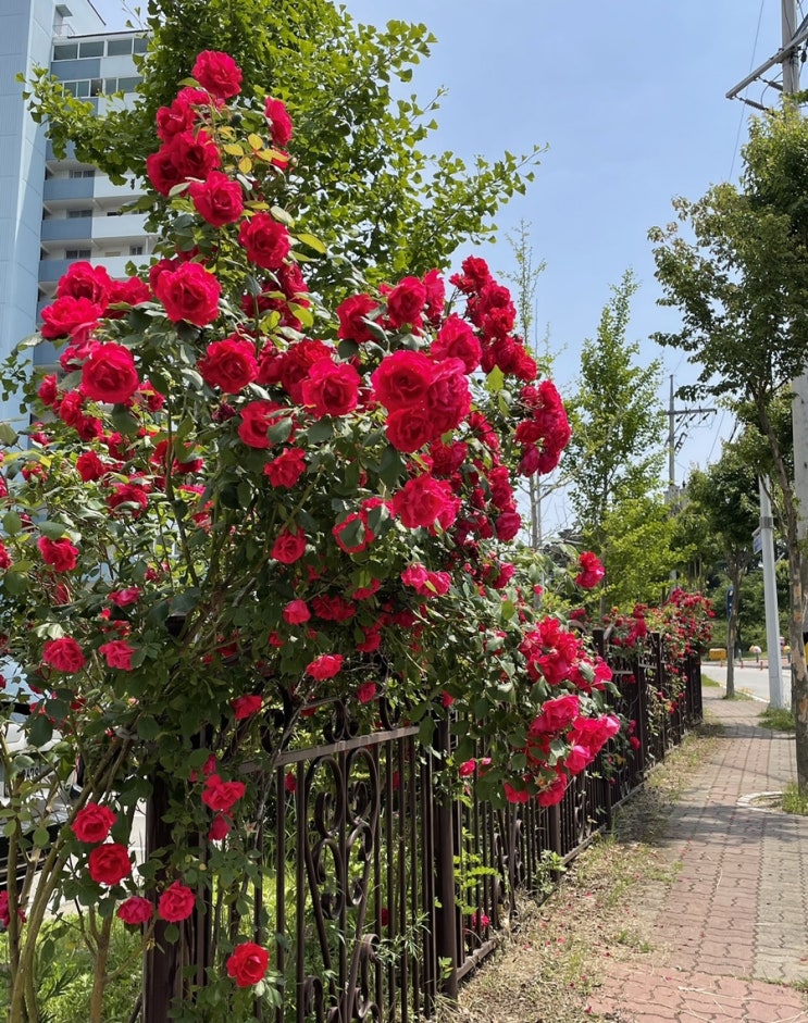  강남에 살고싶다 - 안동시립어린이도서관