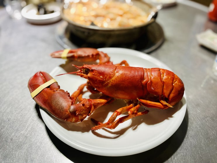해운대 술집 랍스터 가성비 좋은 황금새우 해운대 술집 랍스터 가성비 좋은 황금새우