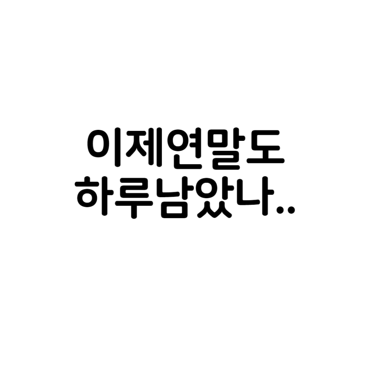  이제 연말도 하루남았나..