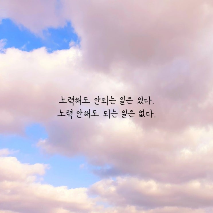  부거사이 [부동산 뉴스와 블로그] 12월 30일(목)