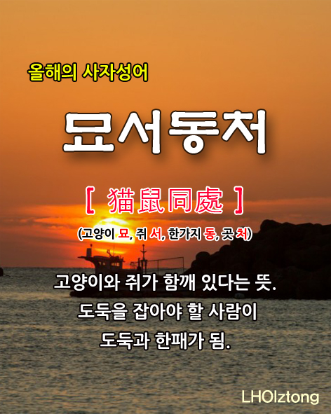  [730] 올해 사자성어 묘서동처(猫鼠同處)의 뜻은?
