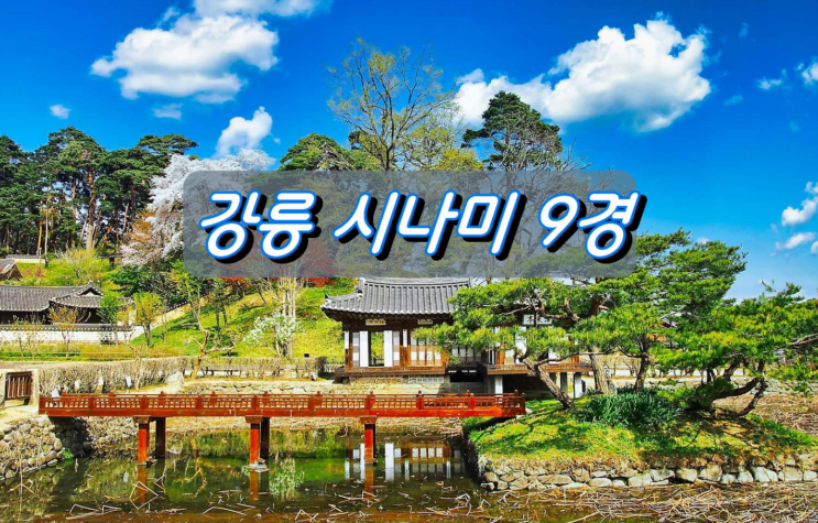 강릉 인기여행지 추천 시나미 구경(9景)