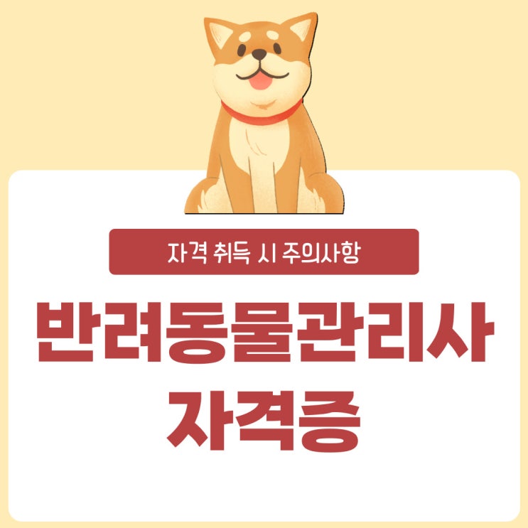 반려동물관리사 자격증 주의할 사항은 무엇일까? 반려동물관리사 자격증 주의할 사항은 무엇일까?