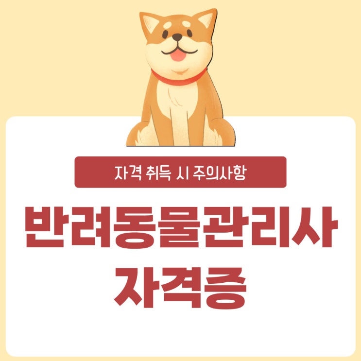 반려동물관리사 자격증 주의할 사항은 무엇일까?