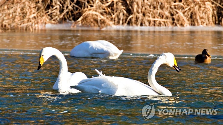 오늘의 포토 뉴스 2021. 12. 30 (목)