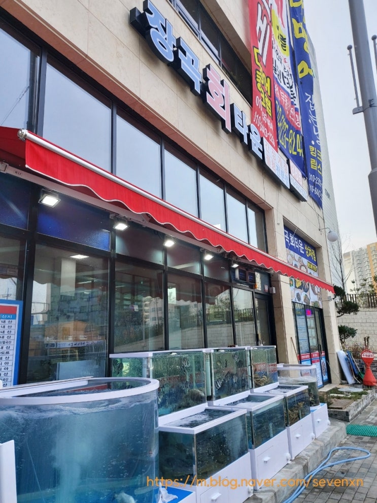  시흥 장곡회타운 , 횟집에서 혼밥하기