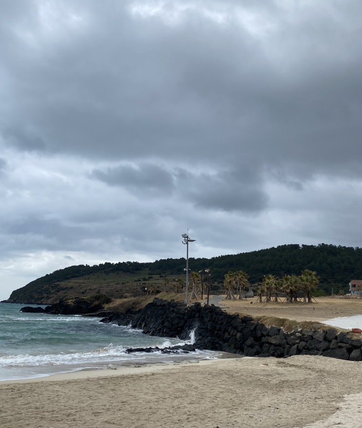 설 연휴 제주도 항공권 구매함 (대한항공 마일리지, 제주항공 포인트 쓰기)