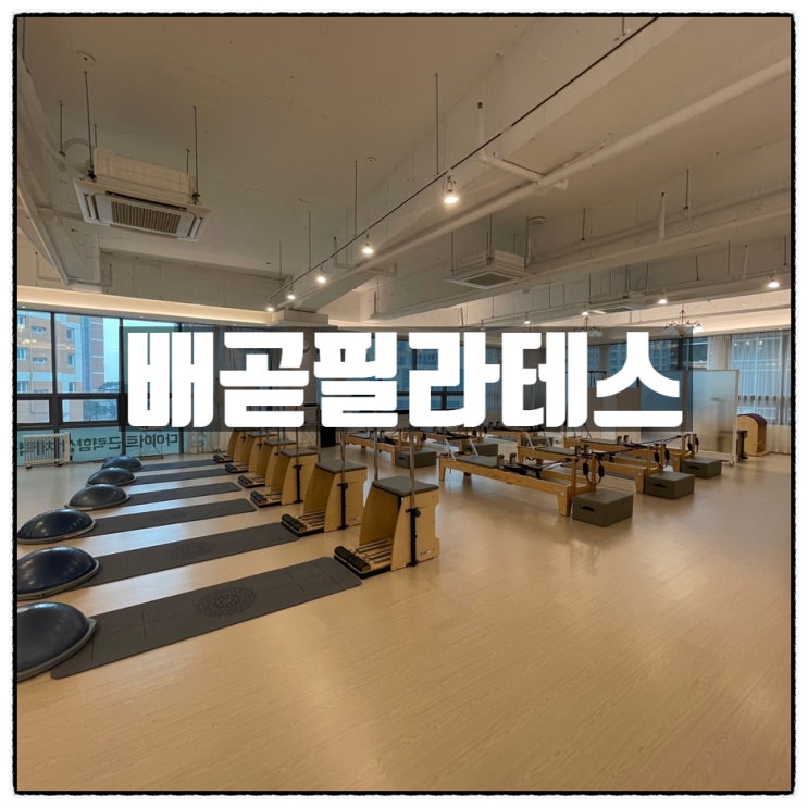 배곧필라테스 건강하게 스트레스를 완화하는 곳 배곧기구필라테스 배곧필라테스 건강하게 스트레스를 완화하는 곳 배곧기구필라테스