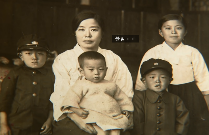 나혜석 프로필, 나문희, 이혼, 남편, 불륜, 자녀 나혜석 프로필, 나문희, 이혼, 남편, 불륜, 자녀