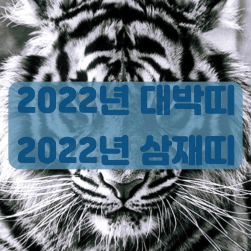  2022년 대박띠와 삼재띠 정리! 저는 올해 대박띠네요ㅎㅎ