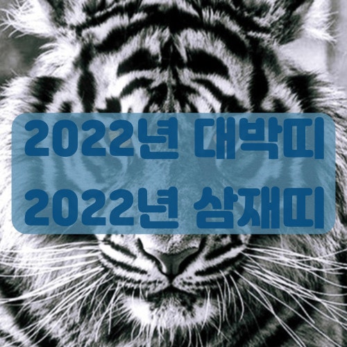 2022년 대박띠와 삼재띠 정리! 저는 올해 대박띠네요ㅎㅎ