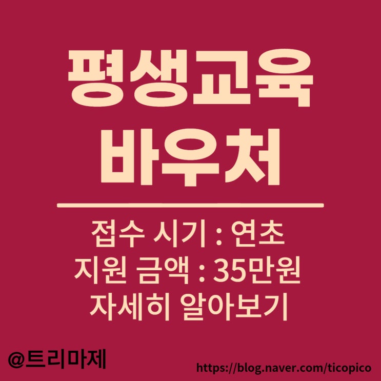 평생교육바우처 :: 연초 접수, 중위소득 65% 해당, 사용기관, 연간 최대 35만원 지원, 나라가 지원해 주는 내 공부
