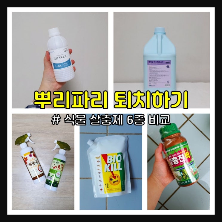  뿌리파리 식물 살충제 6종