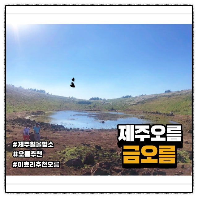  가을에 가기 좋은 분화구 오름 금오름