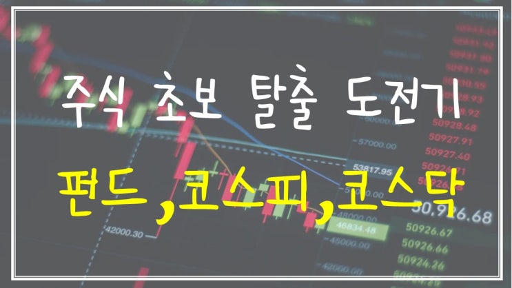  주식 초보 탈출 도전기 - 펀드, 코스피, 코스닥