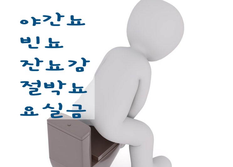  갱년기야간뇨증상 하루에도 몇번씩 화장실에 가야한다면 (빈뇨 잔뇨감까지 있다면)
