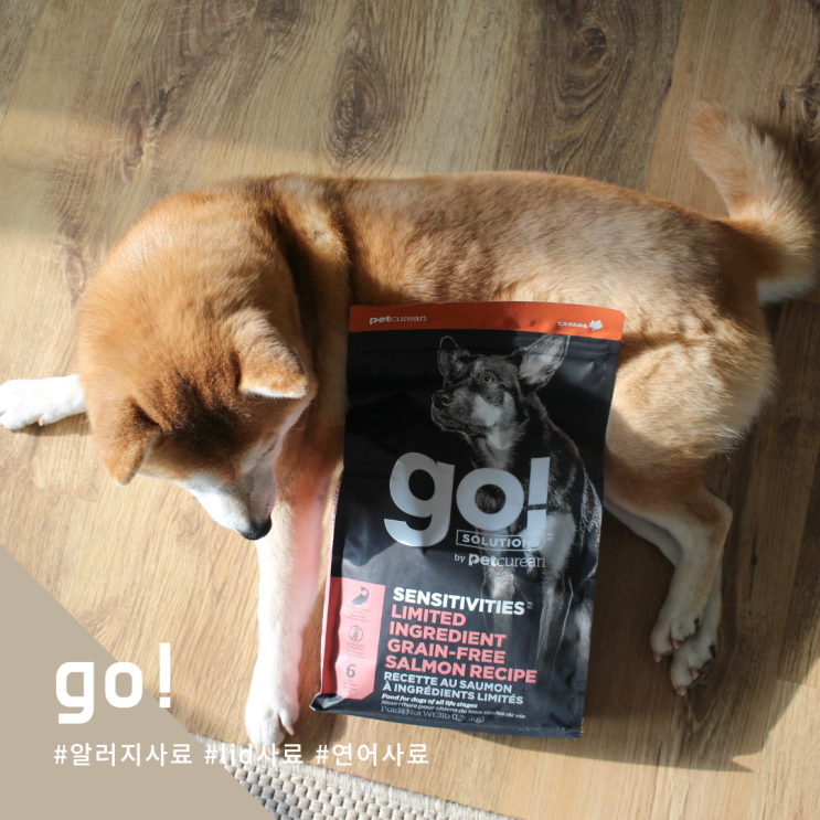  강아지 알러지로 고생하는 개딸을 위해 lid사료 go